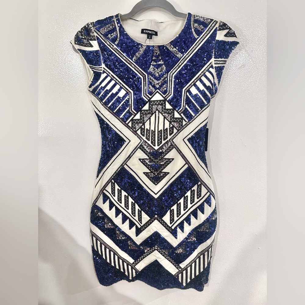 Express Sequin Stretch Party/ Special Occasion Dress